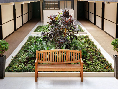 20-	Picture of the interior of the Costa Rica Medical Center Inn, San Jose, Costa Rica.  The picture shows a garden along the corridor between the rooms.