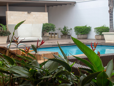 Picture of the pool at the Costa Rica Medical Center Inn, San Jose, Costa Rica.  Beautiful plants are in the foreground.
